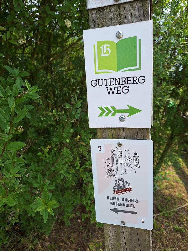 Weinbergwanderwege im Rheingau - Gutenbergweg, Walklikealocal u.a.m.