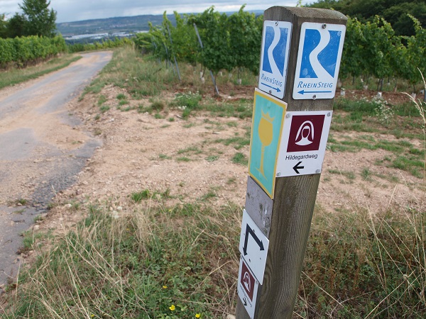 Weinbergwanderwege im Rheingau - Rheinsteig, Hildegardweg u.a.m.