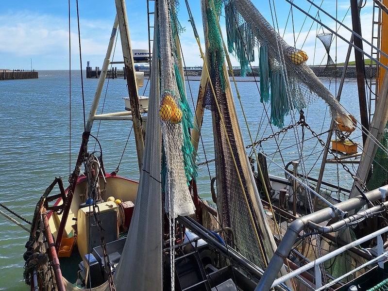 Entdeckungen rund ums Meer: Hooksiel