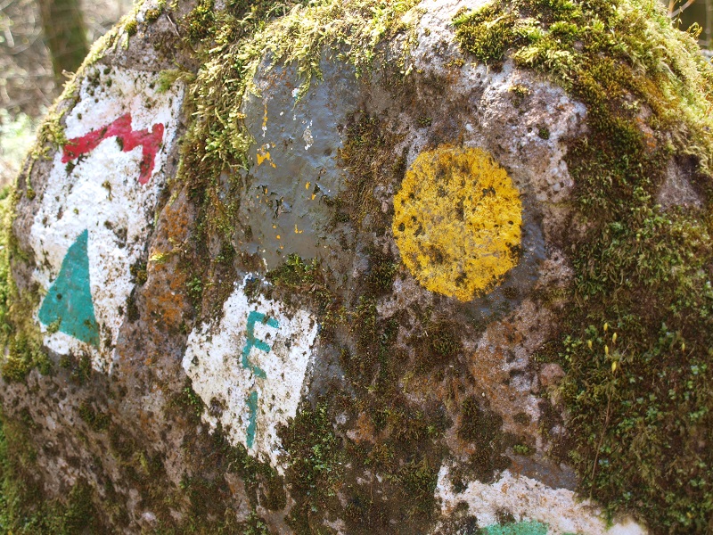 Gepäcklos wandern auf dem Mullerthal Trail: 112 km, 3 Routen, 5 Extratouren