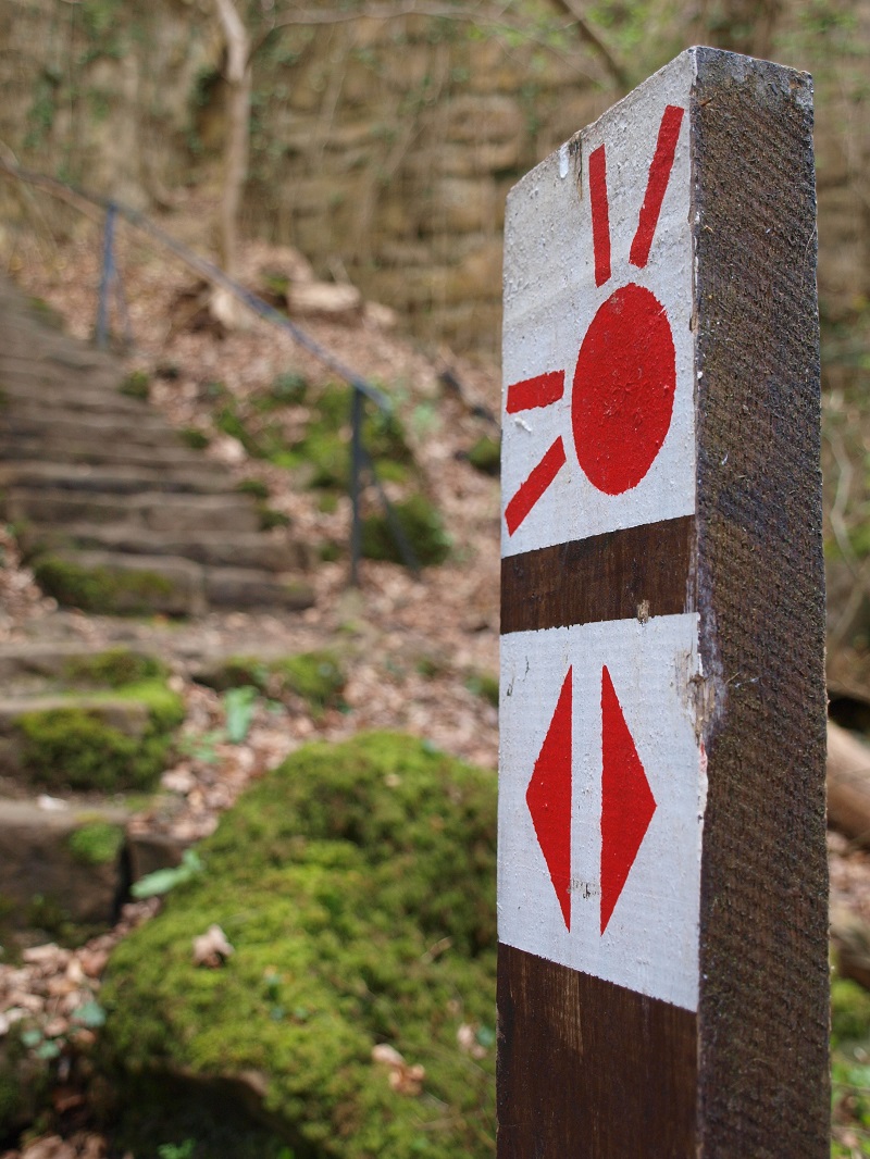 Gepäcklos wandern auf dem Mullerthal Trail: Unerwartet viele Stufen