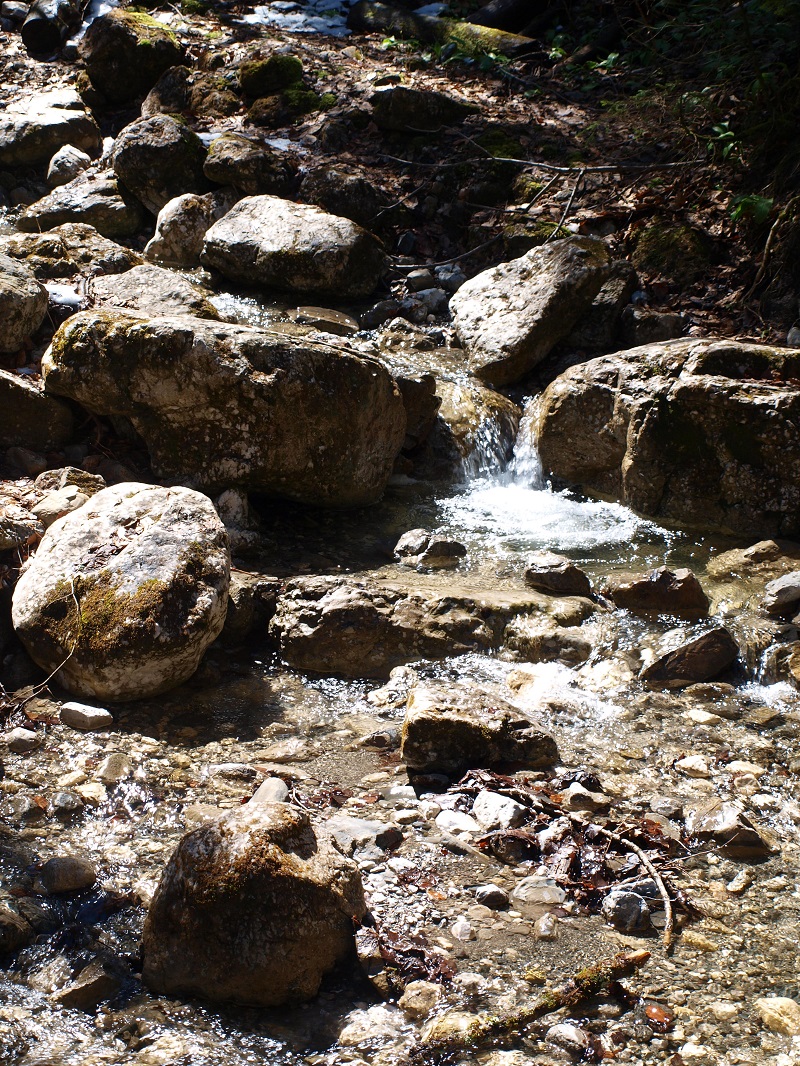 Heilklimawandern in Garmisch-Partenkirchen: Der Körper wird bewusst Reizen ausgesetzt