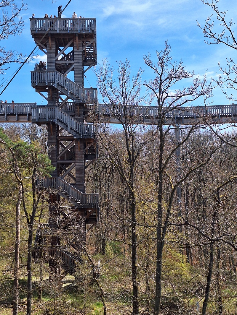 Baumwipfelweg Bad Camberg: Wer richtig weit schauen will, erklimmt den höchsten Turm ganz