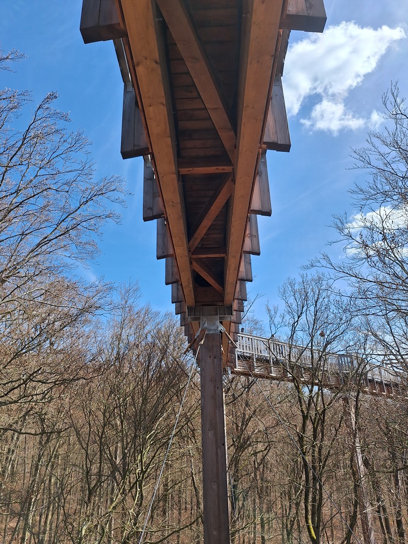Baumwipfelweg Bad Camberg: Stabile Konstruktion, wie der Blick zurück und von unten zeigt
