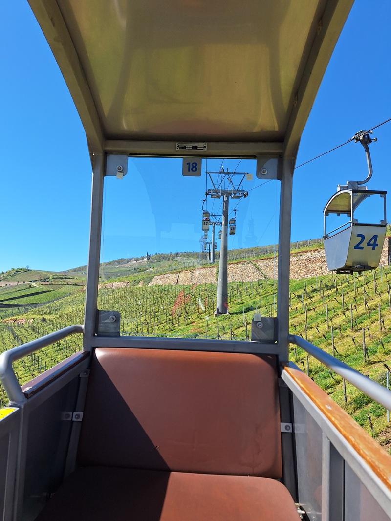 Seilbahn Rüdesheim: Ihre Gondeln schweben über den Reben