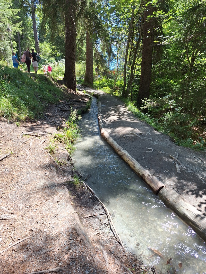 Rheinschlucht, Graubünden: Der "Connbächli" lässt auch Kindern Wanderspaß am "Swiss Grand Canyon" erleben.