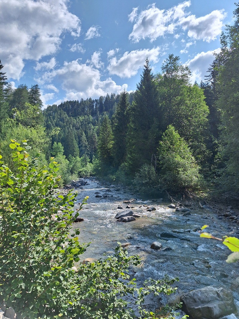 Landwasserviadukt, Graubünden: Seinen Namen hat das Viadukt vom Gebirgsflüsschen Landwasser, das unter ihm durchfließt und einem vom Besucherparkplatz zielsicher dorthin führt.